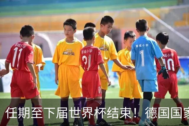 任期至下届世界杯结束！德国国家队主帅出炉，铁血战车要回来了？